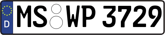 MS-WP3729