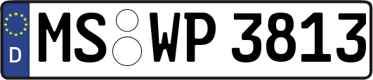 MS-WP3813