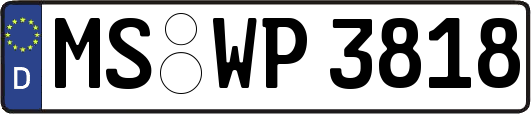 MS-WP3818