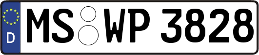 MS-WP3828