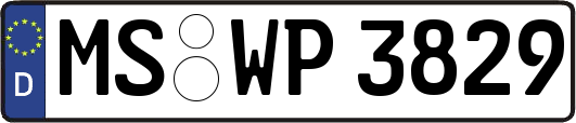 MS-WP3829