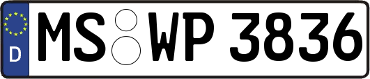 MS-WP3836