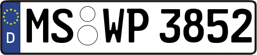 MS-WP3852