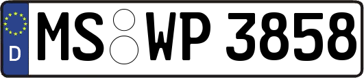 MS-WP3858