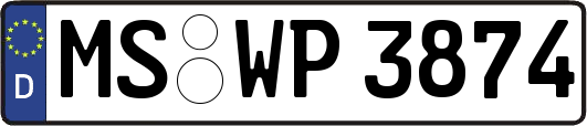 MS-WP3874