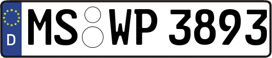 MS-WP3893