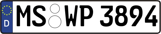 MS-WP3894