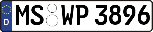 MS-WP3896