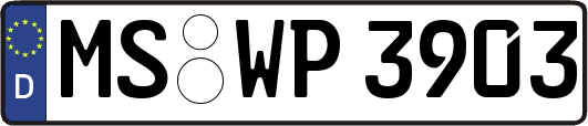 MS-WP3903