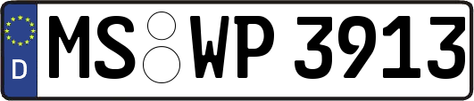 MS-WP3913