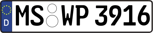 MS-WP3916