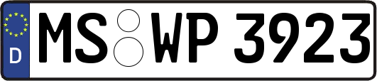 MS-WP3923