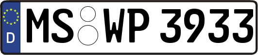 MS-WP3933