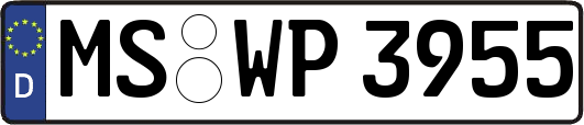 MS-WP3955