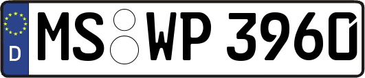 MS-WP3960
