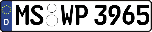 MS-WP3965