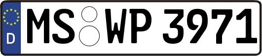 MS-WP3971