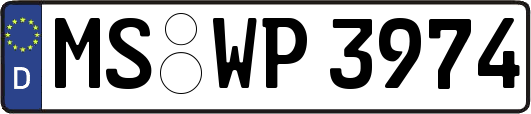 MS-WP3974