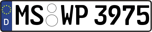MS-WP3975