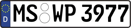 MS-WP3977