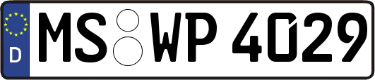 MS-WP4029