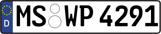 MS-WP4291