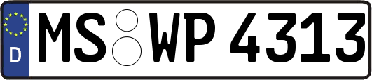 MS-WP4313