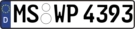 MS-WP4393
