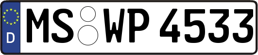 MS-WP4533