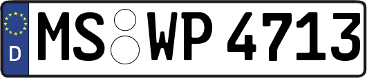 MS-WP4713