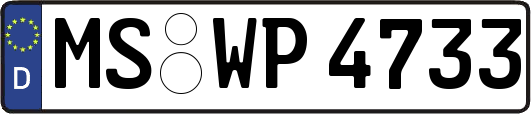 MS-WP4733