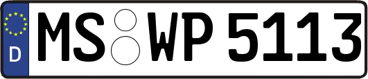 MS-WP5113