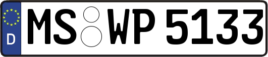 MS-WP5133
