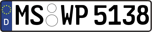 MS-WP5138