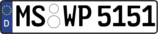 MS-WP5151