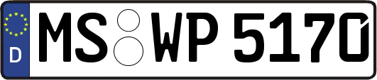 MS-WP5170