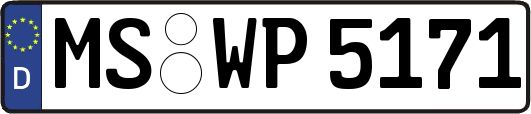 MS-WP5171