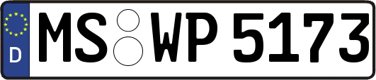 MS-WP5173