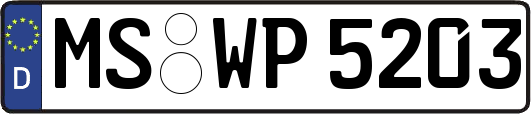 MS-WP5203
