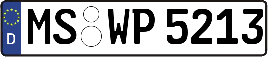 MS-WP5213