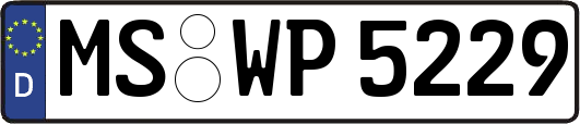 MS-WP5229