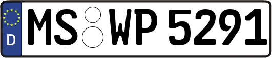 MS-WP5291