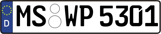 MS-WP5301