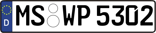 MS-WP5302