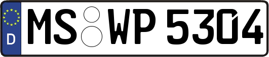 MS-WP5304