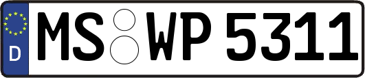 MS-WP5311