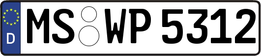 MS-WP5312