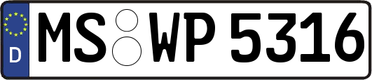 MS-WP5316