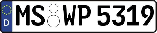 MS-WP5319