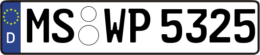 MS-WP5325